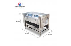 China 1500KG/H Root Vegetable Washing And Peeling Machine For Restaurant supplier
