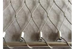 China 2mm With 50mm Hole Zoo Wire Mesh Easy To Clean And Resists supplier