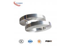 China Ni80Cr20 Nichrome Resistance Wire Strip for Vacuum Sealing Machines supplier