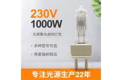 China 230V 1000W Tungsten Halogen Lamp For Spectrophotometer G22 supplier