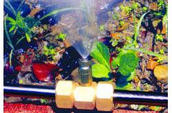 China Mist Water Feature Fittings 1/4 Brass T Connector supplier