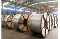 China overhead conductor aluminum conductor steel reinforced acsr moose conductor supplier