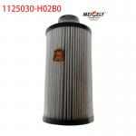 China Stock 1125030-H02B0 Truck Parts Fuel Filter For Dongfeng Tianlong for sale