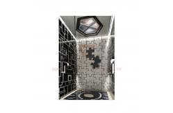 China Black Titanium Series Hydraulic Passenger Elevator For Passenger Lift supplier