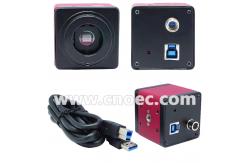 China Rosy USB Digital Microscope Camera Microscope Accessories , CE Rohs A59.4206 supplier