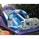 Polar Bear Inflatable Bouncy Castle With Slide Fully Digital Printing for sale