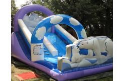 China Polar Bear Inflatable Bouncy Castle With Slide Fully Digital Printing supplier