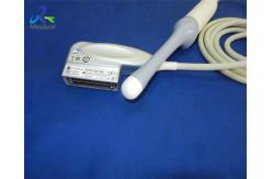 China GE RIC5-9W-RS 4d microconvex endocavitary ultrasound transducer probe supplier