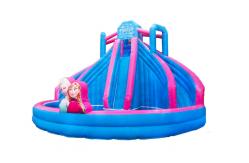 China Aldult  Outdoor Rental Inflatable Large Water Slides With Bouncy supplier