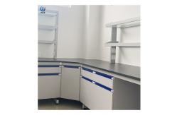 China 750mm Width Lab Wall Bench supplier