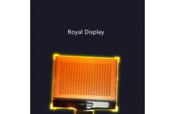 China St7528 FSTN Positive LCD Display Stn Gray 160X100 DOT Matrix 3V Parallel supplier