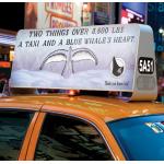 Waterproof Car LED Sign Display , Outdoor Full Color Taxi Roof Screen Double Side for sale