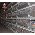 65*62.5 Cm H Type Battery Chicken Cage Big Size for sale