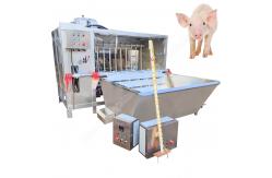 China pig processing equipment slaughter equipment pig pig hair removal machine supplier