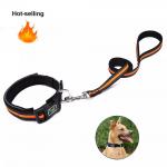 Modern Custom Dog Collar And Leash Adjustable Kit Pet Matching for sale