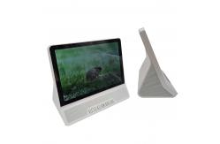 China Volte HD Voice FWP 4G Landline Phone Multi Language 13MP HD Camera supplier