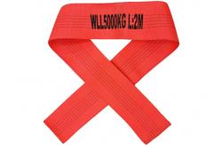China Heavy Duty 5000KG Polyester Endless Webbing Sling supplier