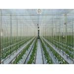 9000m Polypropylene UV Stabilized Tomato Tying Garden Twine