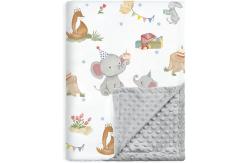 China Soft Custom Baby Blankets 100% Polyester Multifunctional Blanket For Unisex Boys Girls supplier