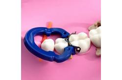 China ZT Dental Sectional Matrix System Bands F3 Autoclavable M4 2pcs Clip Ring supplier