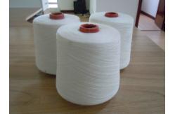 China 24F Polyester Spandex Covered Yarn ACY Earloop For Elastic Band supplier