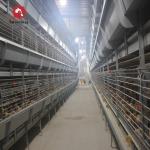 3 Tiers 4 Tiers H Type Broiler Poultry Farm Automatic Chicken Broilers Cage System for sale