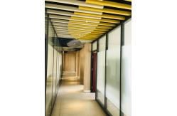China Metal Ceiling Design manufacturer