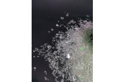 China Weather Resistance 95/5 Saturated Polyester Resin Mechanical Properties supplier