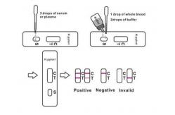 China Antibody Rapid Detection H Pylori Stool Test Kit Cassette supplier
