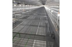 China 60-144 Broiler Poultry Equipment , ISO9001 Wire Bird Breeding Cages supplier