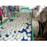                  Food Grade Conveyor Belt / Mini Belt Conveyor/Manual Conveyer Belt Conveyor for Sale              for sale
