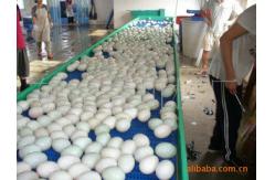 China                  OEM Food Processing Machine Turing Conveyor              supplier