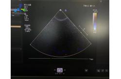 China  S5-1 Linear Array Ultrasound Transducer Probe Crystal Array Replacement supplier