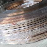 Qbe1.9 Ti  Beryllium Titanium Alloy Tape 0.1mmx200mm Hard State For Current-Carrying Springs for sale