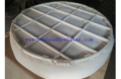China Acid Environmental OK PTFE Mesh Pad Demister Mist Extractor supplier