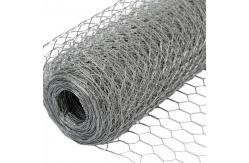 China TLSW Galvanized Hexagonal Wire Netting Chicken Wire Mesh BWG22 supplier