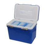 Injection Molded Beverage Insulated Cool Box Tough And Durable 12L 420 * 240 * 300mm for sale