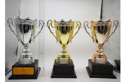China Custom Made Metal Trophy Cup , Sports Match Award Cups Trophies supplier