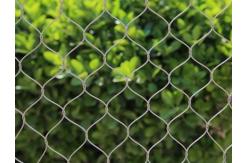 China High Intensity Stainless Steel Woven Mesh , Hand Woven Stainless Steel Mesh supplier
