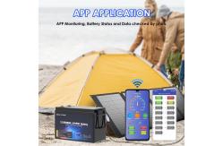 China Waterproof Mobile rV LiFePO4 Lithium Ion Camper Battery 12.8V Bluetooth BMS supplier