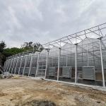 Good Thermal Insulation Venlo Polycarbonate Sheet PC Panel Greenhouse