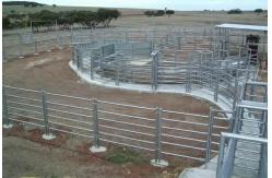 China Portable Silver 6ft X 10ft Wire Cattle Panels Weather Resistant supplier