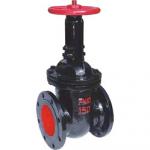 Water And Oil Applicable Cast Iron Rising Stem Gate Valve With Brass Seal for sale