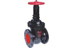 China Water And Oil Applicable Cast Iron Rising Stem Gate Valve With Brass Seal supplier