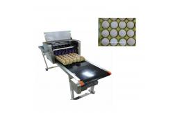 China Green and efficient egg Jet Coding Machine , industrial continuous inkjet printers  supplier