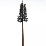 15m Galvanized Cell Phone Tower Antenna for Broadcasting for sale