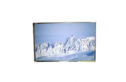 China B141EW03 VB 14.1 inch 1280*800 LCD Display TFT-LCD SCREEN supplier