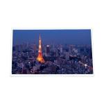 P420IVN03.1 1920*480 2500 cd/m2 LCD screen LCD Panel for sale