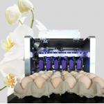 Egg Continuous Inkjet Printer for Date / Serial No / Batch code / Logo for sale