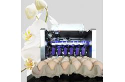 China Egg Continuous Inkjet Printer for Date / Serial No / Batch code / Logo supplier